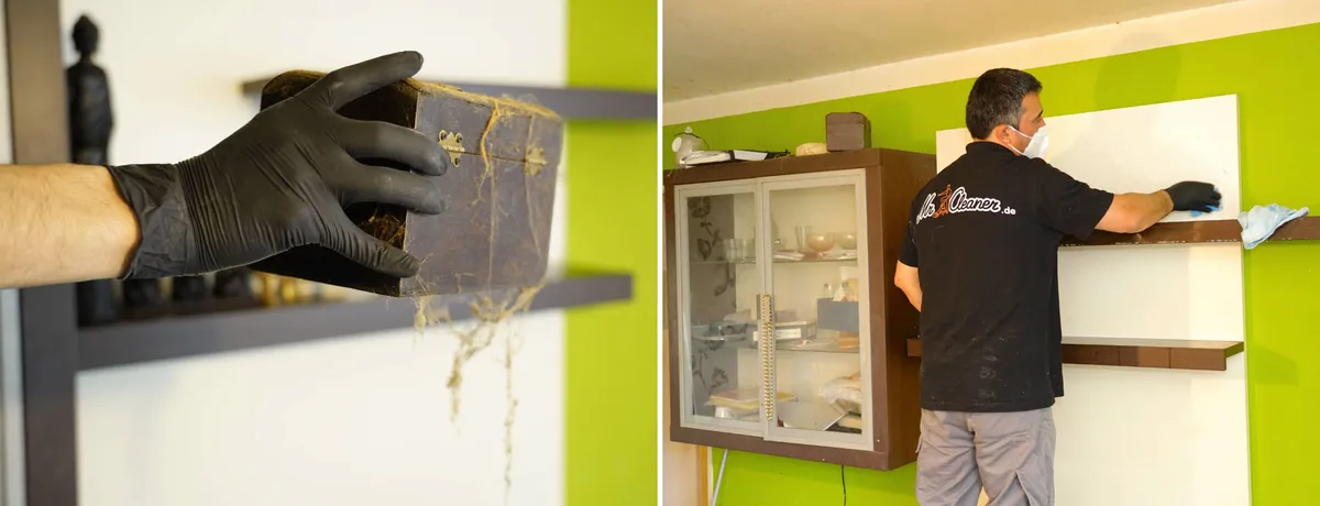 Titelbild: Stark verschmutzte Wohnung – Oder bin ich schon ein Messie?