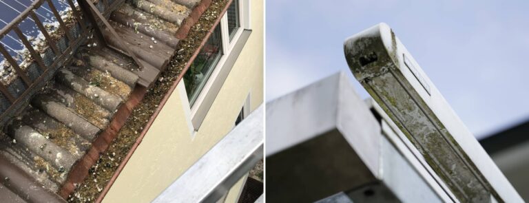 Mr. Cleaner Ratgeberblog: Grünspan und Taubenkot auf Terrassen und Einfahrten entfernen