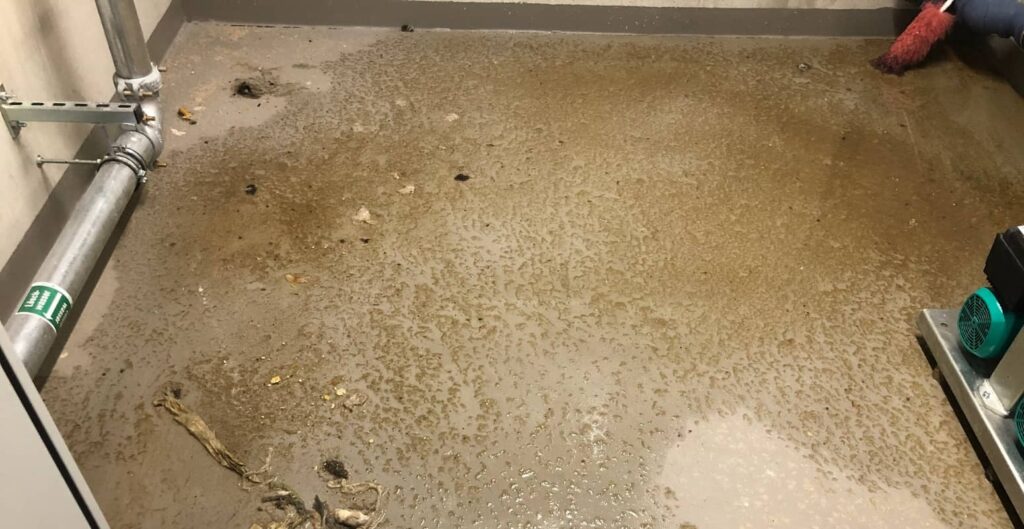 Beitragsbild: Effektive Schadensbegrenzung bei Wasserschäden im Haus